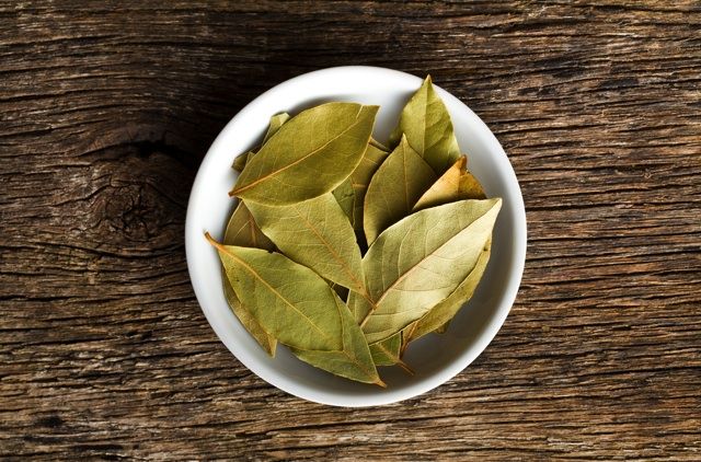 ローリエとローレルって違うもの 好相性のレシピ7選も要チェック Macaroni