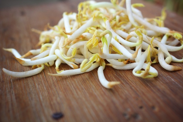 レンジ加熱でもっとおいしい！さっぱり「もやし」で簡単レシピ - macaroni