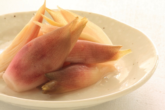お皿に乗ったミョウガ