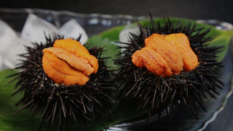 もう後戻りできない 塩水うに の甘さが絶品すぎる Macaroni