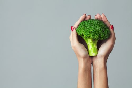ブロッコリーは低糖質 カロリーや栄養を詳しく解説 管理栄養士執筆 Macaroni