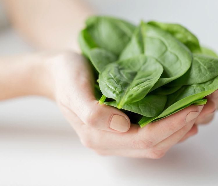 鉄分の多い野菜一覧 栄養を効率よく摂れる食べ方を管理栄養士が教えます Macaroni