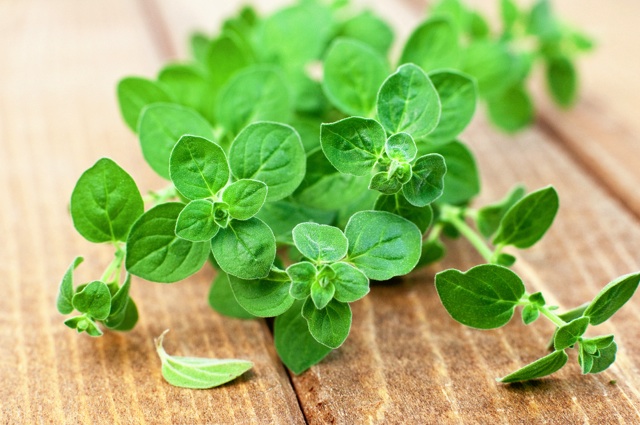 板の上に乗っているハーブ