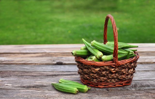 6月は雨や暑さに強い オクラ を植えよう ベランダ菜園におすすめの野菜 ハーブ 15 Macaroni