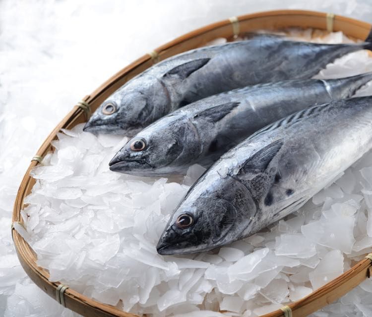 お魚の冷凍方法 を伝授 上手に活用して毎日に役立てよう Macaroni