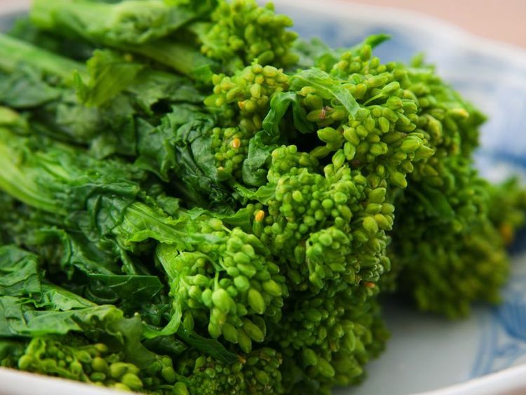 管理栄養士が解説 菜の花 の栄養 おすすめレシピ7選 Macaroni