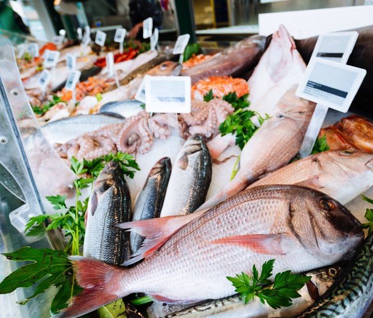 高級魚 ノドグロ とは 産地や旬 おすすめの食べ方や商品を紹介 Macaroni