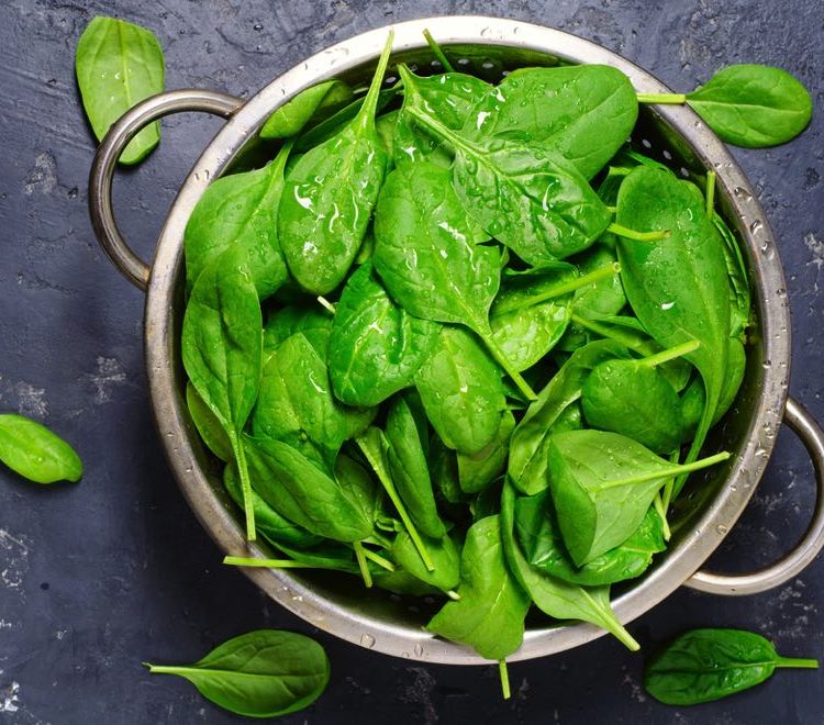 ほうれん草の旬っていつだか知ってる おいしい保存方法や選び方も紹介 Macaroni