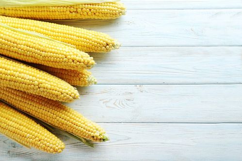 とうもろこしの正しい保存方法 冷蔵と冷凍はどっちがいい おすすめレシピも Macaroni