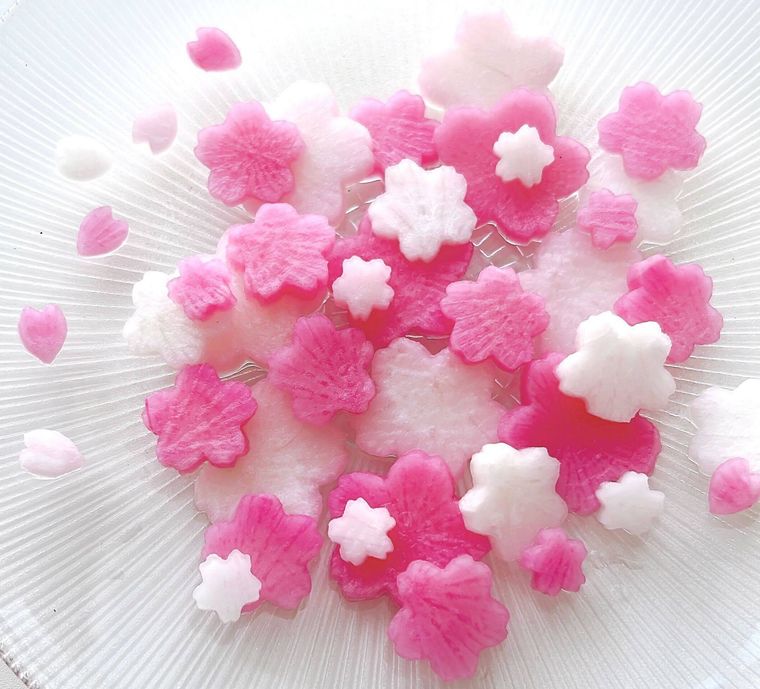 白い器に並べた白とピンクの桜大根