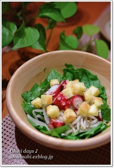 あと一品を簡単に！もやしで作る副菜の人気レシピ10選の画像