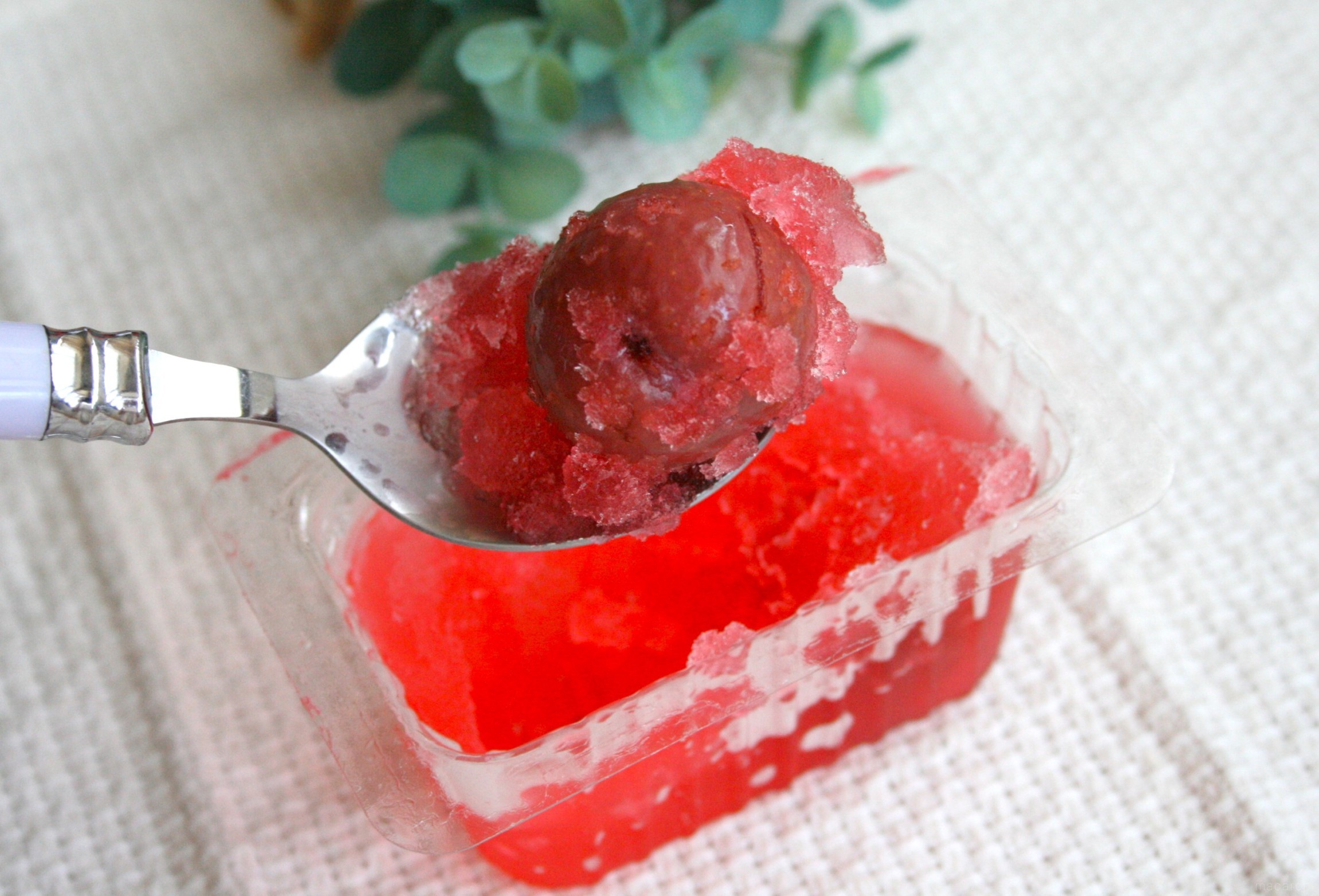 冷凍するとハマるおいしさ！駄菓子「すもも漬け」を実食レビュー