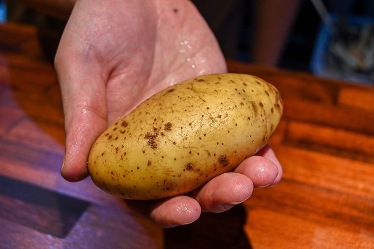 ポテトの概念が変わる。ベルギーフリッツ専門店「フリッツ・ブルージュ」が浅草に誕生の画像