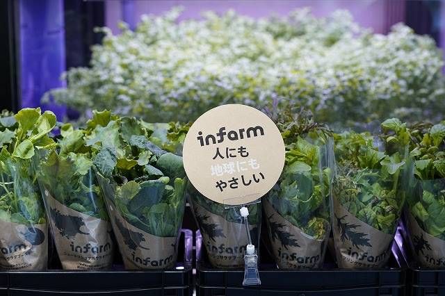サステナブルレストランで味わえる「ピスタチオジェノベーゼ」。インファームの野菜を使用した逸品の画像