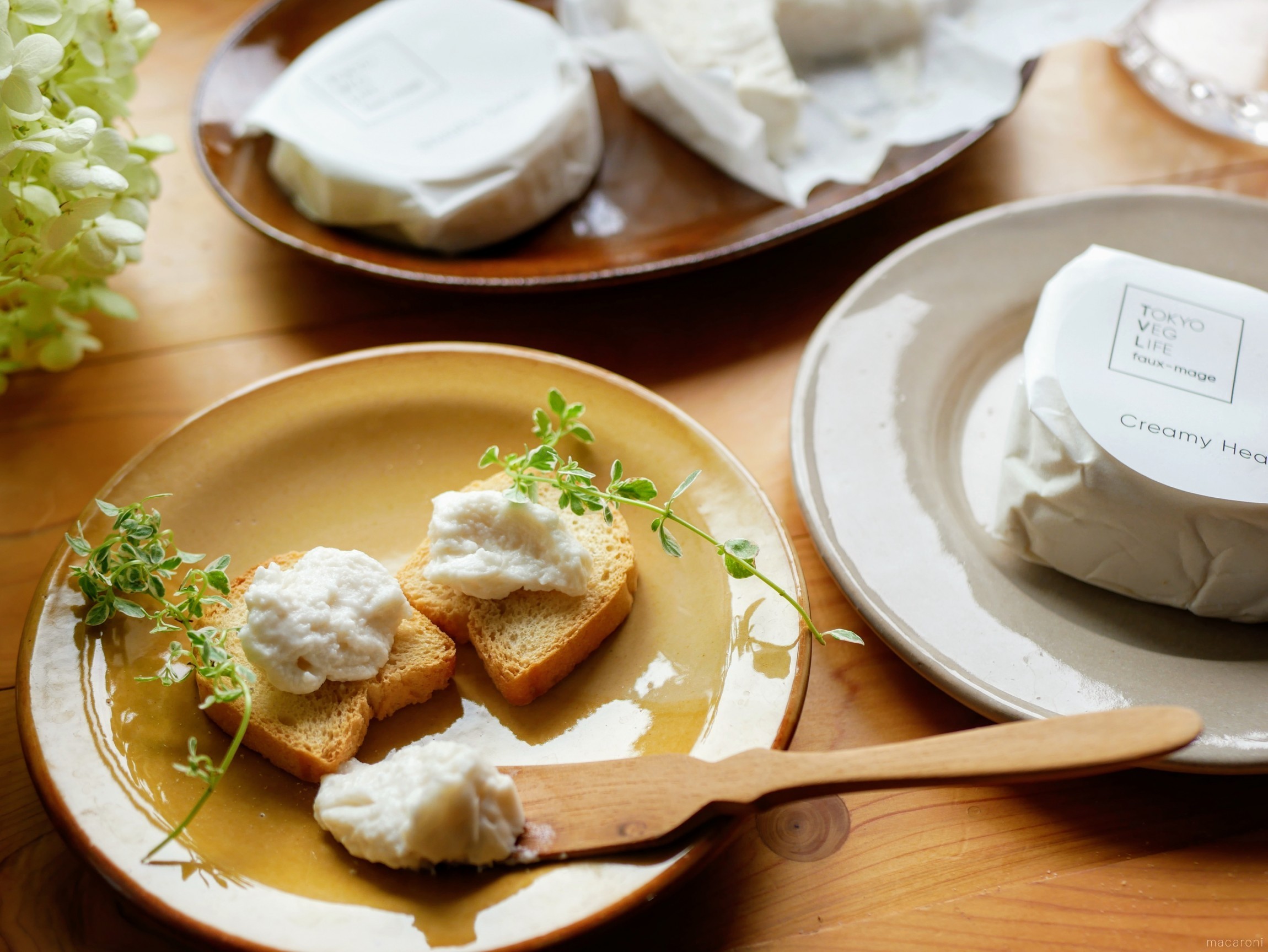 ヴィーガンブログチップ veganblog blogtips mosseed ヴィーガンブログチップ veganblog blogtips mosseed ベジタリアン