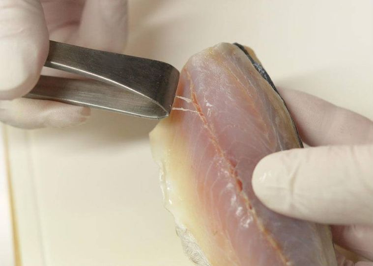 伊豆の名物駅弁「武士のあじ寿司」をお取り寄せレポ!マニアも絶賛するその理由とはの画像