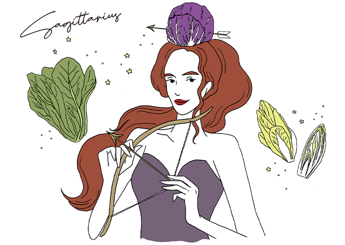 射手座のイラスト
