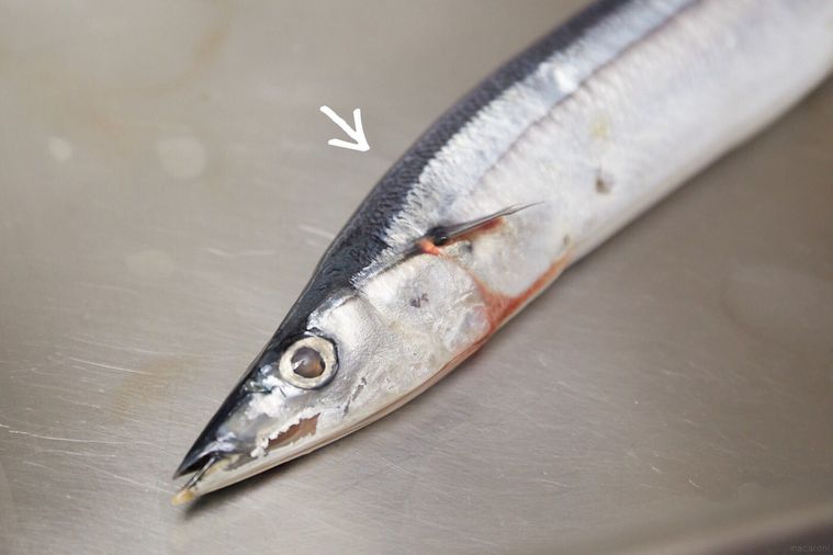 おいしいさんまを選ぶ3つのコツ!魚屋店長の目利きワザで失敗しらずの画像