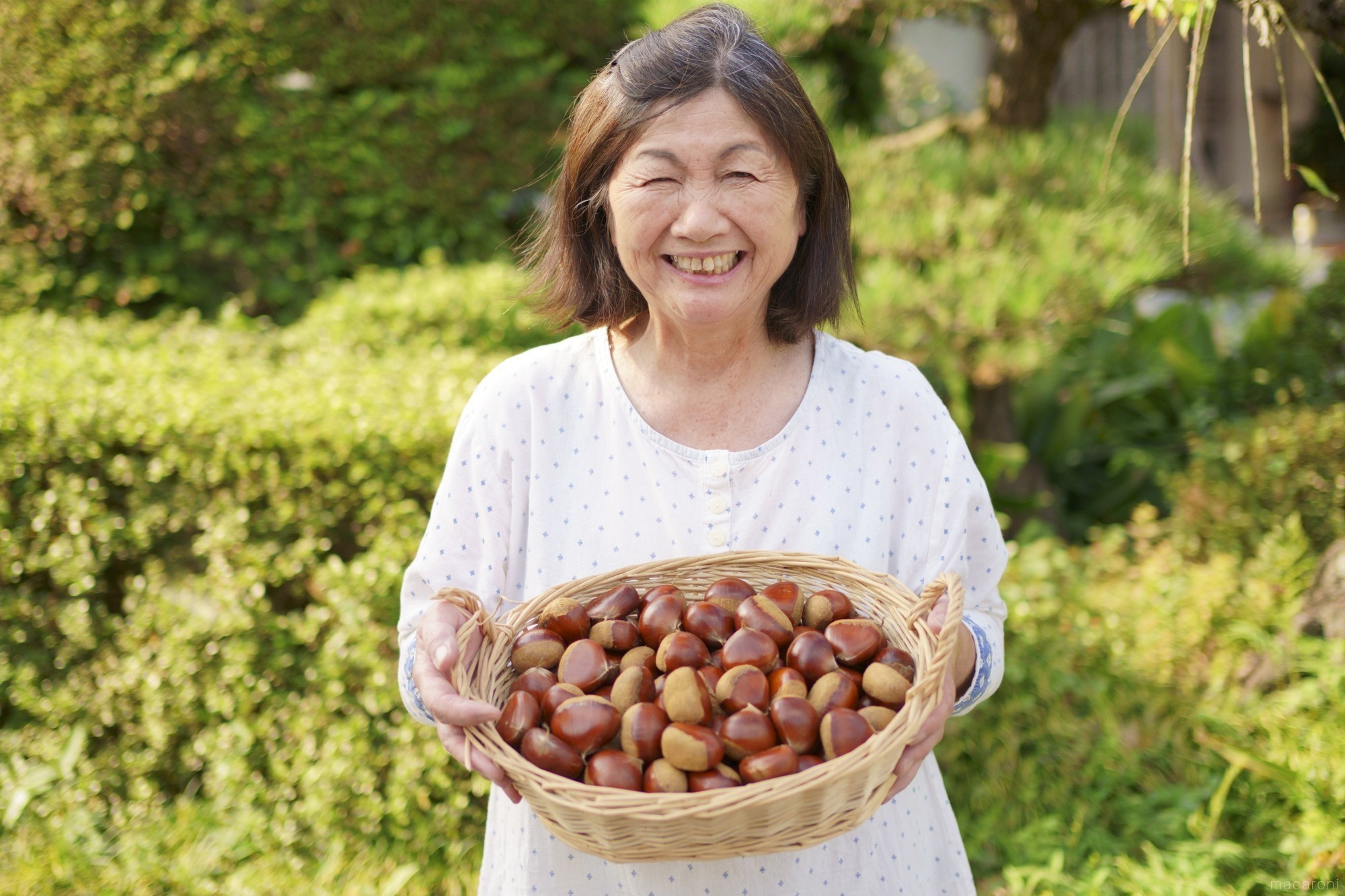 栗剥き歴40年の農家直伝 生栗のきれいな剥き方と正しい保存方法 栗を楽しむ 前編 Macaroni