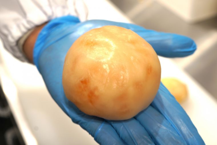 レンジで簡単!専門店直伝「フルーツ大福」の作り方と上手に包むコツの画像