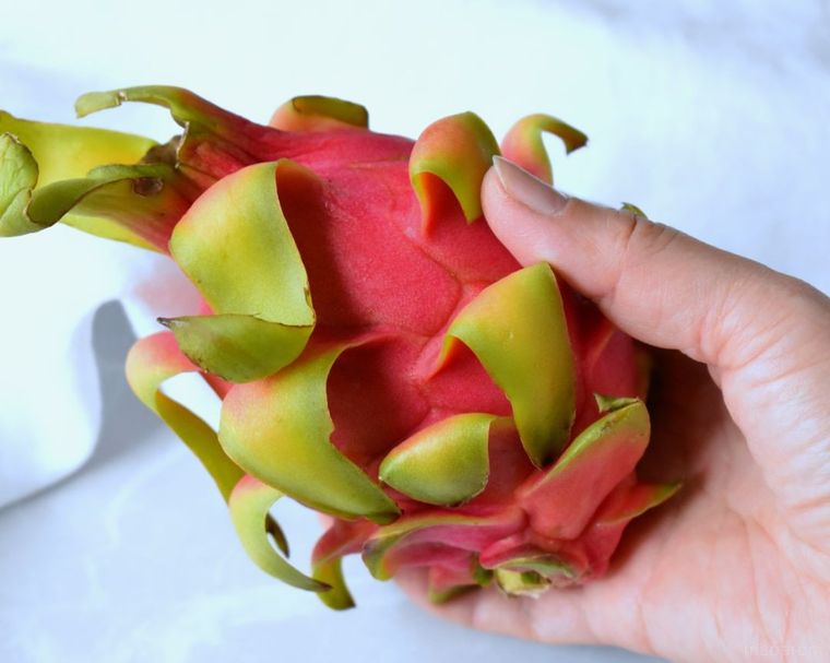 ドラゴンフルーツを茹でるとまぐろになるって本当!? SNSで噂の食べ方を検証の画像