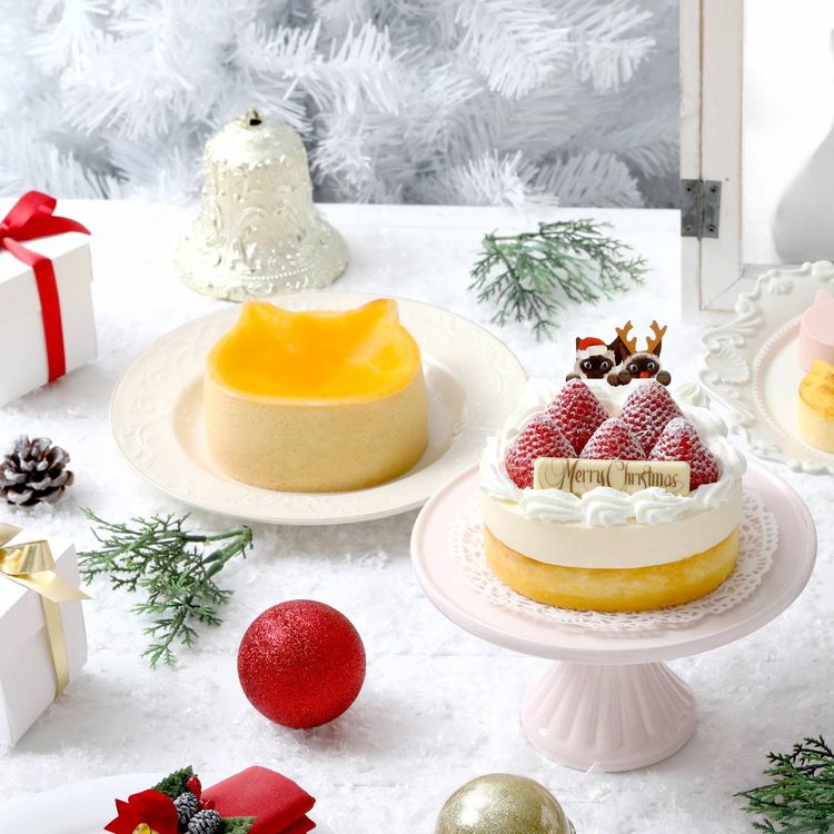 ねこねこチーズケーキに 21年クリスマスケーキ が登場 11月1日より予約スタート Macaroni