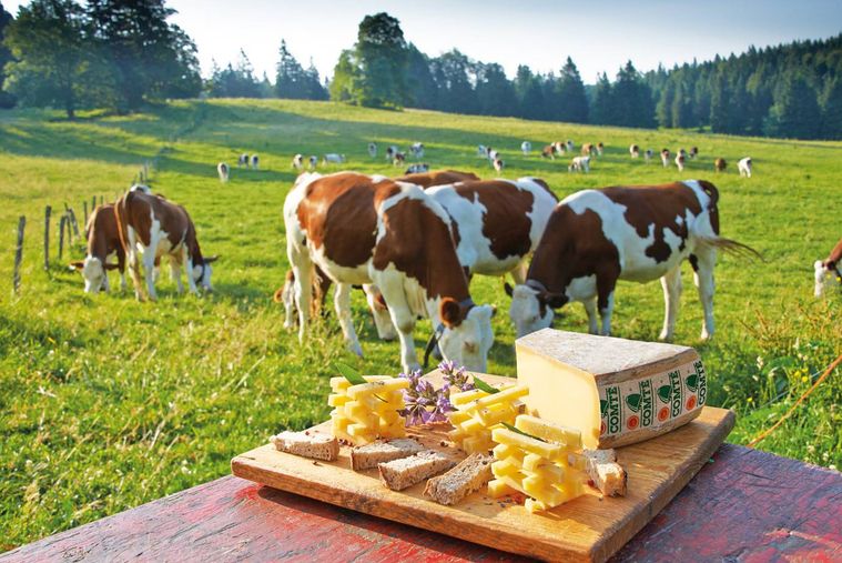 仏産チーズ「コンテ」がHISとコラボ。オンラインセミナーを開催の画像