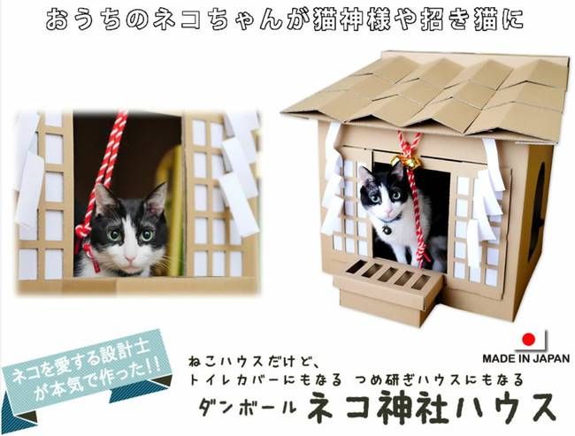 今年も登場!ねこ専用こたつ付きみかん「猫と、こたつと、思い出みかん」がオンライン限定で販売の画像