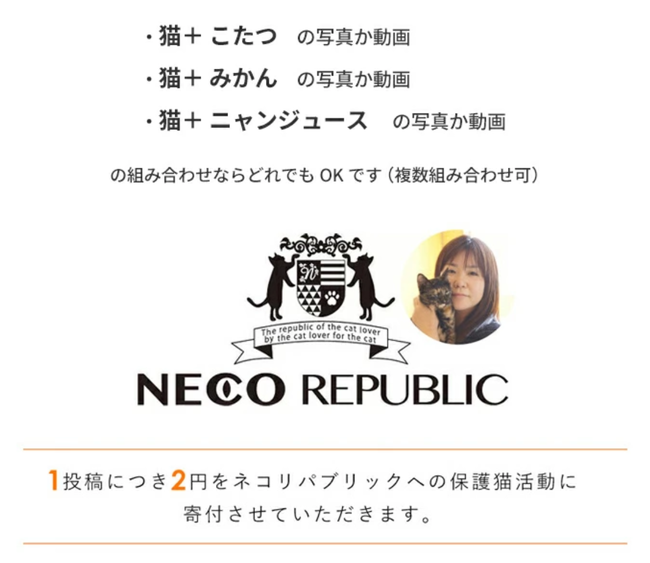 今年も登場!ねこ専用こたつ付きみかん「猫と、こたつと、思い出みかん」がオンライン限定で販売の画像