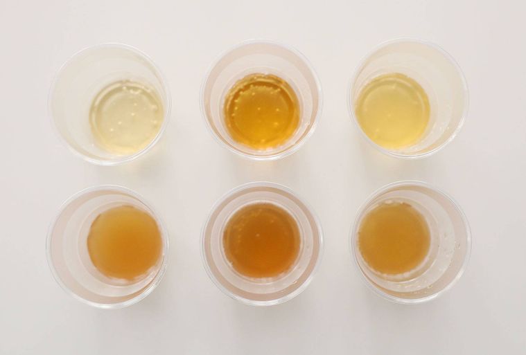 フィンランドの「公式」サウナビールが日本に上陸!白樺の樹液も使われた豊かな香りのビールの画像