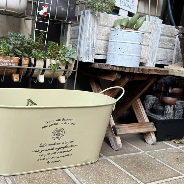 上手なプランター選びで家庭菜園を快適に 栽培を成功させるコツも紹介 ベランダ菜園におすすめの野菜 ハーブ 24 2ページ目 Macaroni