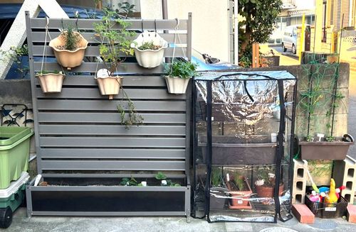 上手なプランター選びで家庭菜園を快適に 栽培を成功させるコツも紹介 ベランダ菜園におすすめの野菜 ハーブ 24 Macaroni