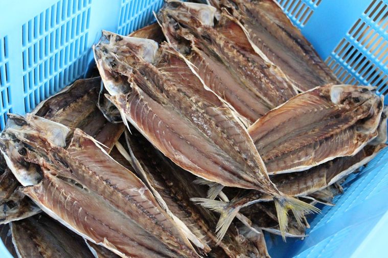 カゴに入ったくさや