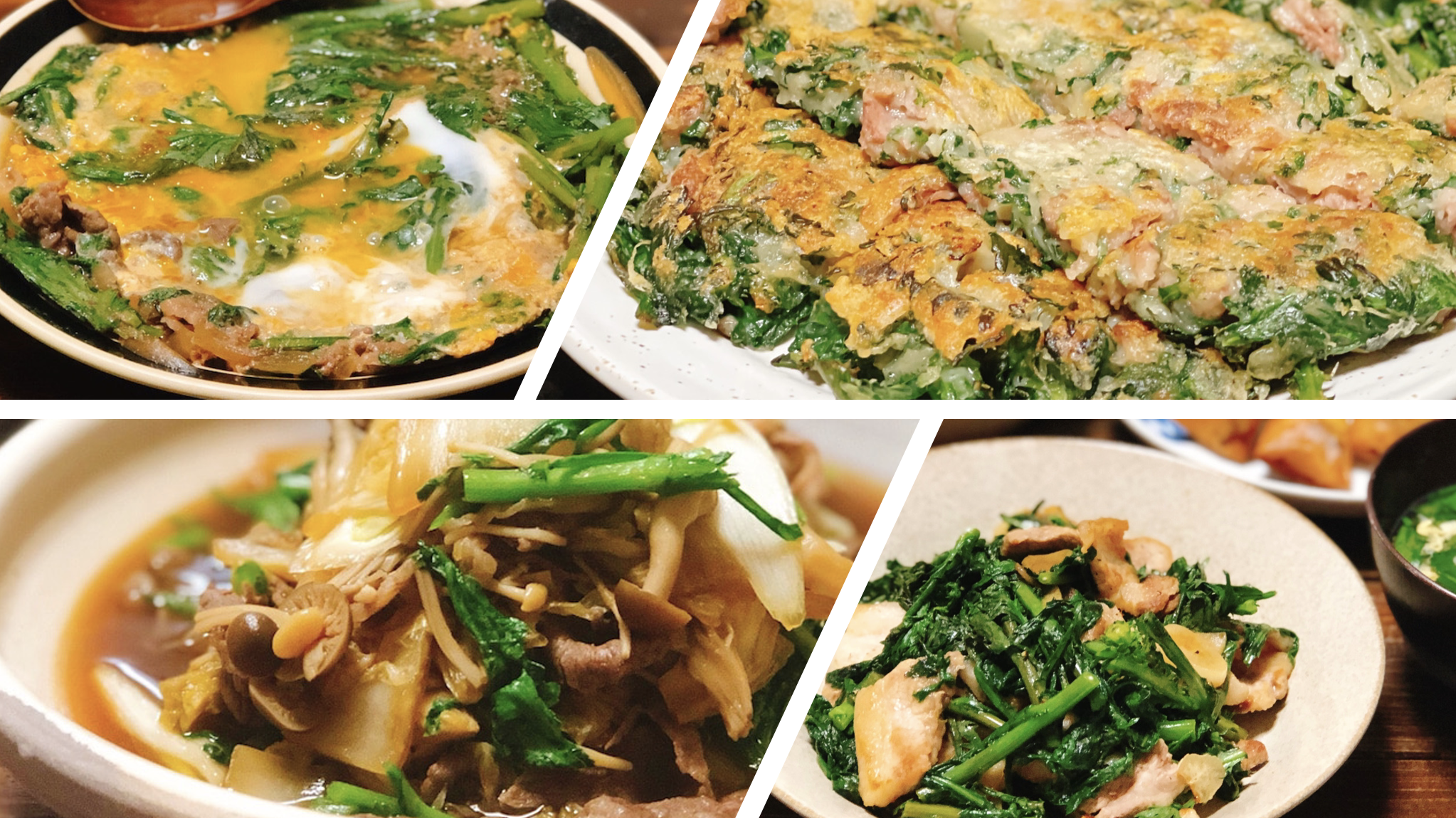 季節の野菜でごはんが進む 春菊とお肉のおかず おつまみ4選 Macaroni
