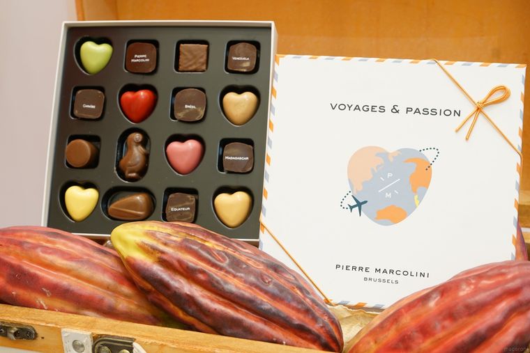 ピエール・マルコリーニのバレンタインコレクション2022!おすすめチョコレートを全種紹介の画像
