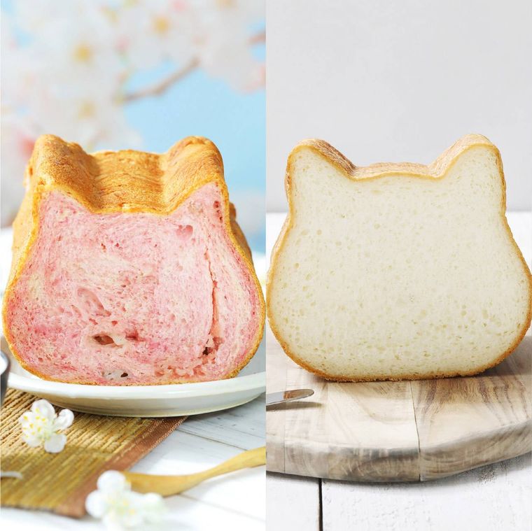 ねこねこ食パンに「さくらもち&よもぎあん」フレーバー登場!オンライン限定で購入できるの画像