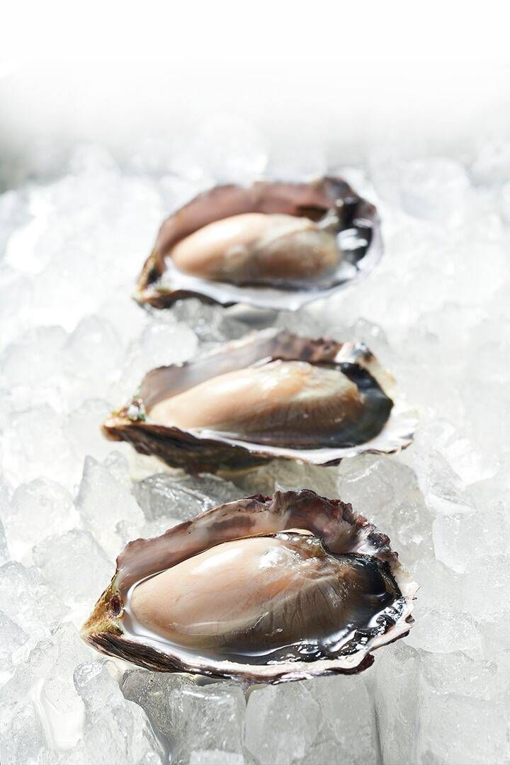 日本初の干潟で養殖された牡蠣「ひがた美人」。生産地や味の特徴は?の画像