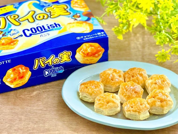 パイの実×クーリッシュバニラが新食感すぎる。試作を重ねてたどりついた魅惑の味わいの画像