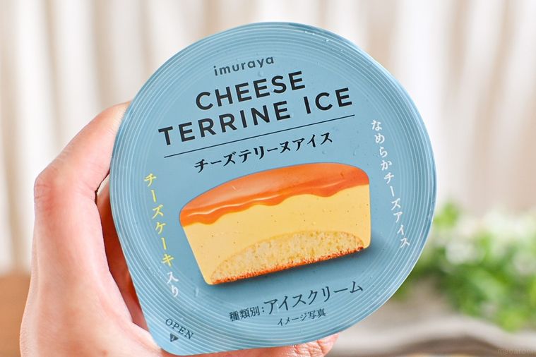 ほんとにアイス!? 井村屋「チーズテリーヌアイス」のコクとふわふわしっとり食感に言葉を失う【365日アイス女子】の画像