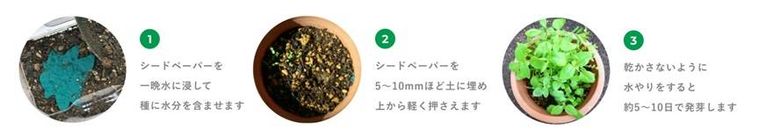 数量限定。ヴェレダとフロッシュ®からコラボセット「CUE KIT」が発売中の画像