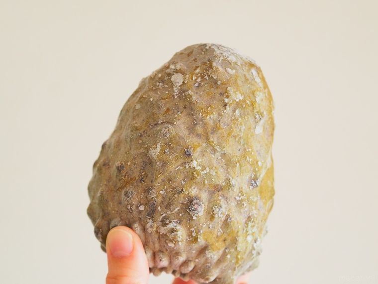 台湾名物「釈迦頭(シャカトウ)」とは?日本では珍しいフルーツを業務スーパーで発見!の画像