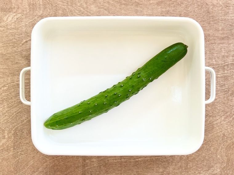 Twitterで12万いいね!きゅうりのアクがおもしろいほど抜ける八百屋直伝の裏技とは?の画像