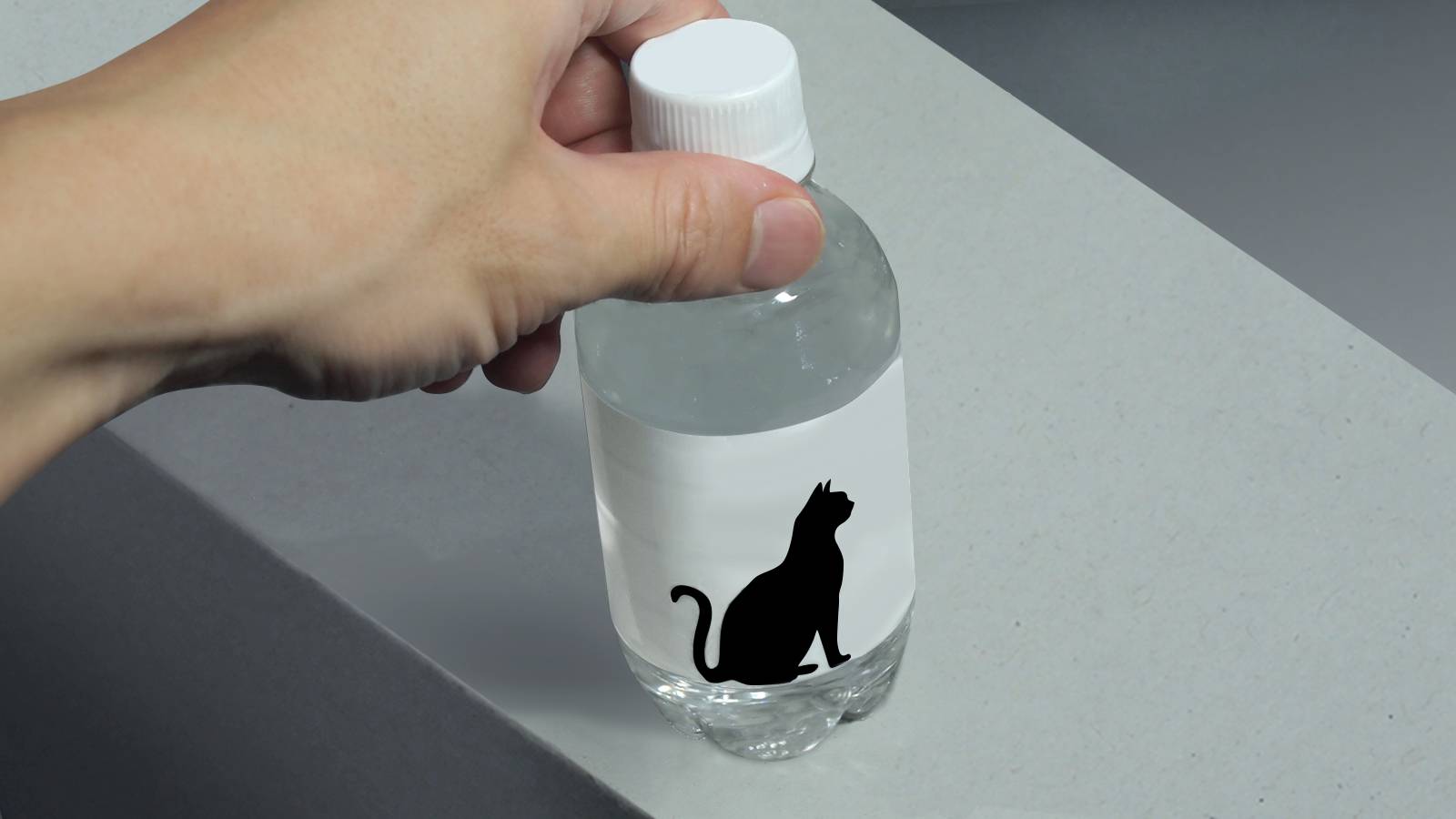 Amazon | 猫用爪カバー 猫 引っかき防止 猫用足カバー 猫用靴