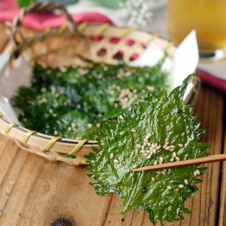 大葉のパリパリ焼きを箸で持ち上げている