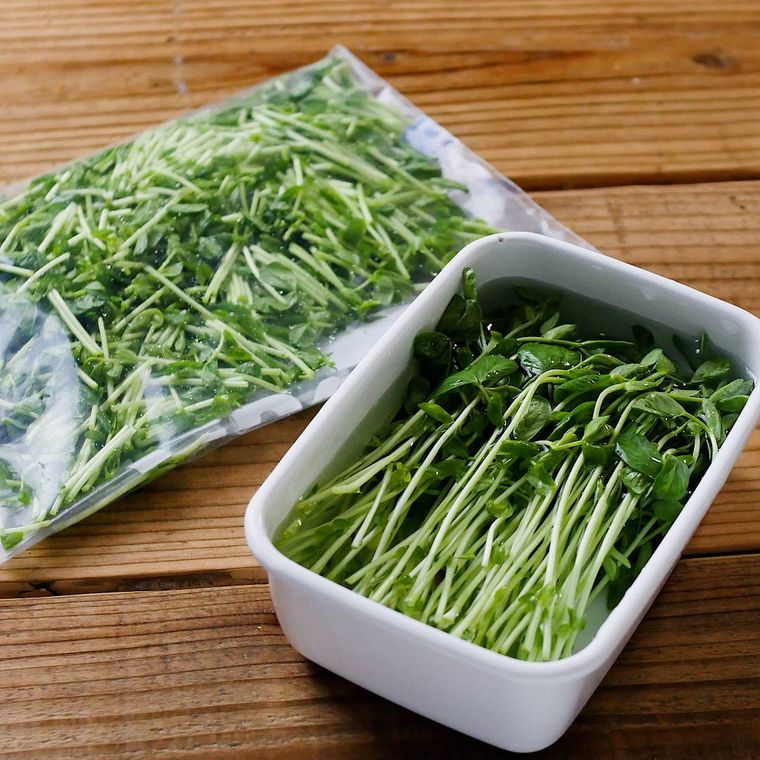 生でも加熱してもおいしい豆苗