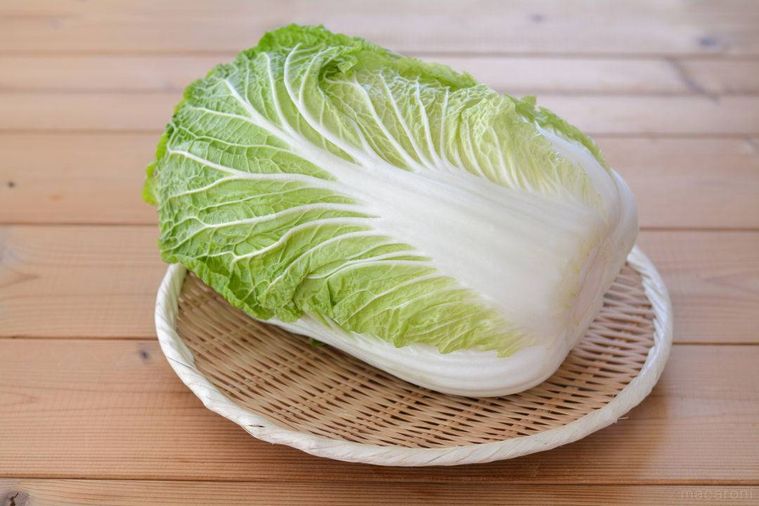 ざるに乗った白菜丸ごと