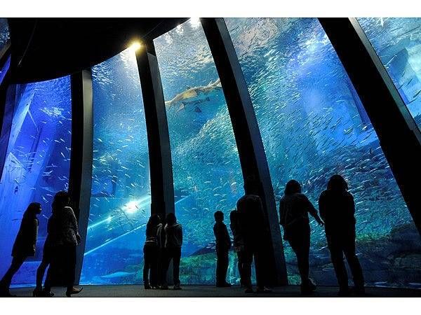 水族館の様子