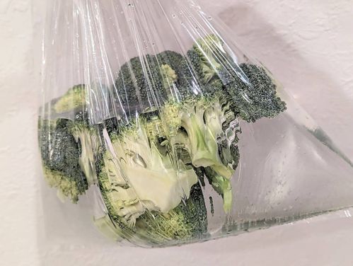 ブロッコリーのカサは虫がいる ごっそり取れる洗い方に 知れてよかった もう怖くない Macaroni ブロッコリーのカサは虫がいる ごっそり取れる洗い方に 知れてよかった もう怖くない Macaroni