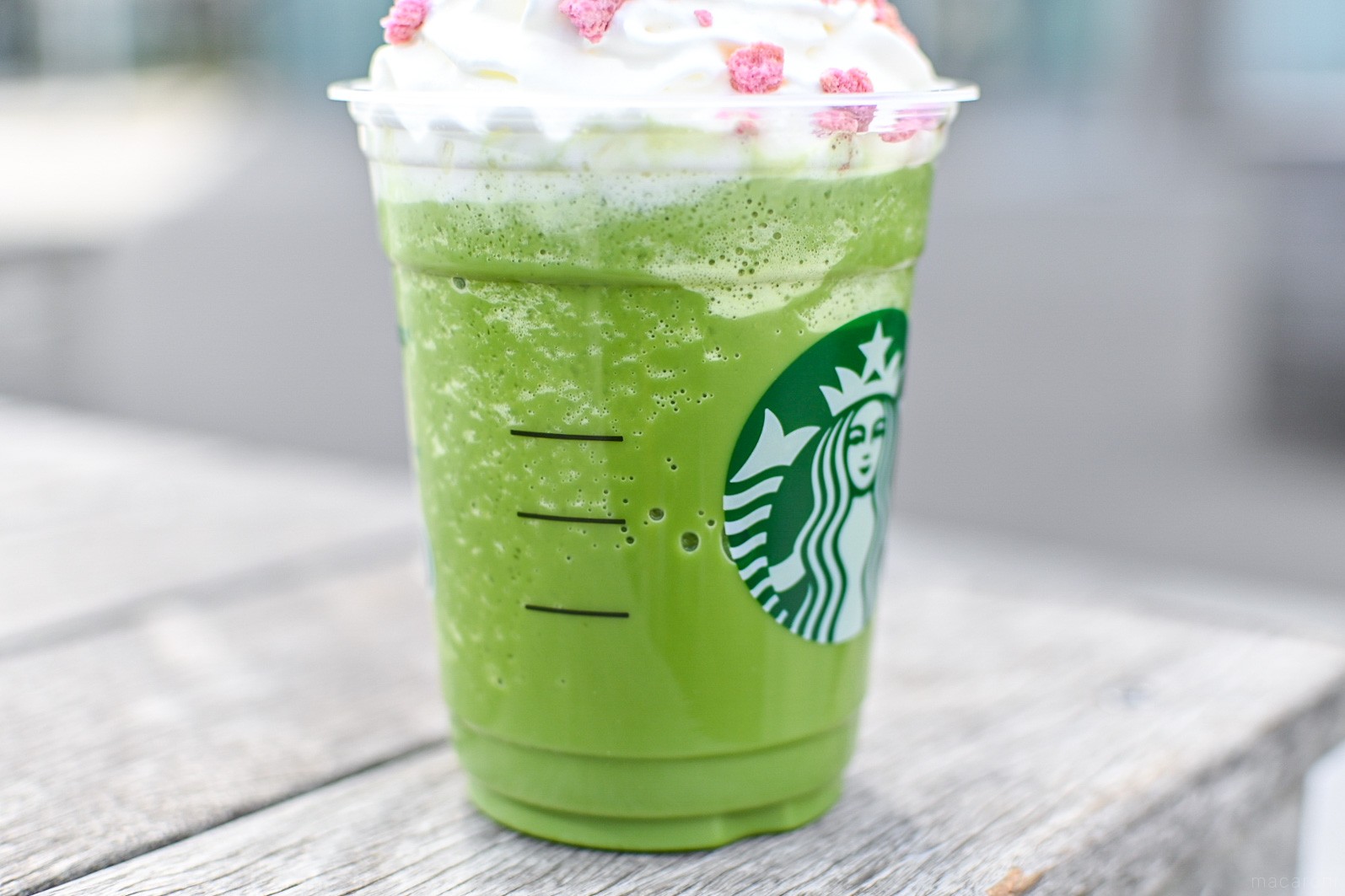 フラペチーノ抹茶様へ専用ページ　mサイズ スタバ最新作「さくら抹茶フラペチーノ®」レポ！おすすめの無料