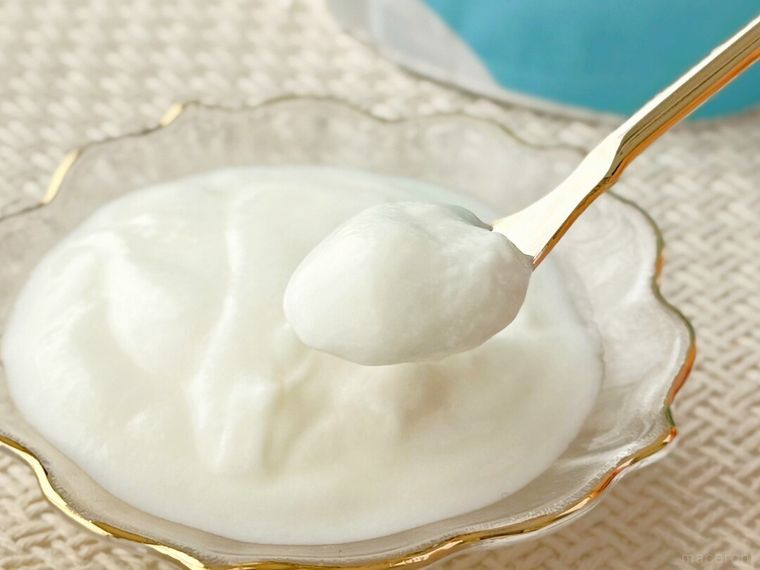 本気のヨーグルト プレーンをスプーンですくっている様子